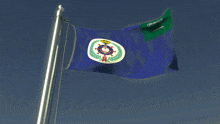 a blue flag with a white circle on it that says ' texas '
