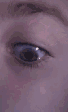Men Eye GIF - Men Eye Eyeball GIFs