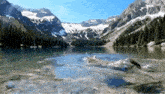 a cat is swimming in a lake with snowy mountains in the background