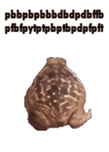Frog Spin GIF - Frog Spin Spinning GIFs