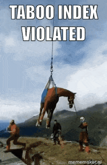 a horse is being lifted by a crane with taboo index violated written on the bottom