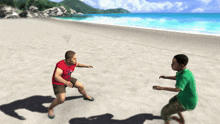 a man in a red shirt and a man in a green shirt are standing on a sandy beach