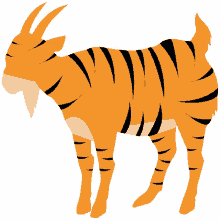tiger goat
