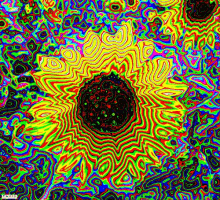 Sunflowertrip Wide GIF - Sunflowertrip Wide Awake GIFs