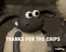 thanks chips