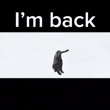 a man in a trench coat is standing in front of a stadium with the words i 'm back below him