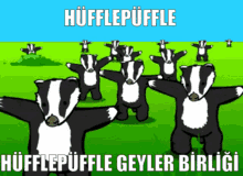 Hüfflepüffle Gey GIF - Hüfflepüffle Gey Hufflepuff GIFs