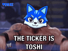 Toshi Toshi Cat GIF