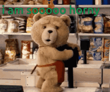 ted beat teddy bear hump hip thrust