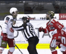 Eishockey Confrontation GIF - Eishockey Confrontation Stopped GIFs