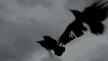 Black Birds Flying GIF - Black Birds Flying Crows GIFs
