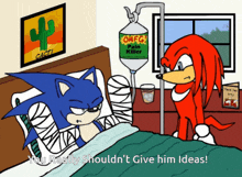 a cartoon of sonic the hedgehog and knuckles talking to each other