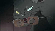a cat is holding a pair of glasses in it 's mouth