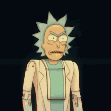 Rick And Morty Cartoon Network GIF