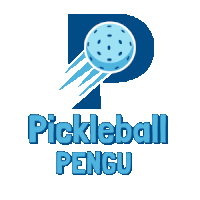 a blue penguin is holding a blue box with the letter p behind it
