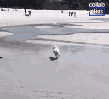 Fell Down On The Water Wet GIF
