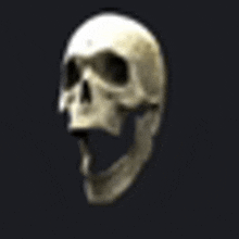 Skull GIF - Skull GIFs