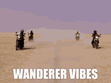 wandered vibes compete contend race wander
