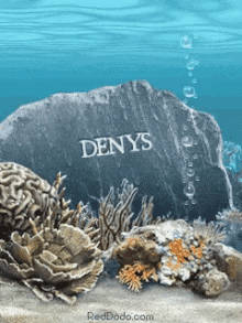Deny Aquatic GIF - Deny Aquatic GIFs