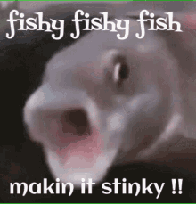 fish stinky