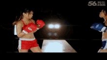 Boxing Boxing Girl GIF - Boxing Boxing Girl Belly Punch GIFs