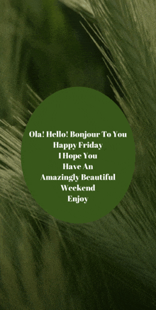 a green circle with the words " ola hello bonjour to you happy friday i hope you have an amazingly beautiful weekend enjoy " on it