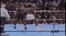 mike tyson knockout ouch