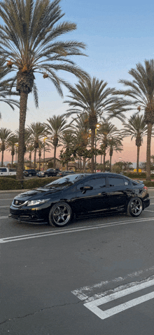 a car is parked in a parking lot with palm trees in the background