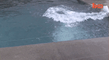 a polar bear is splashing water in a pool and the words well hello are visible