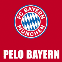 Bayern Enzo GIF - Bayern Enzo Gif GIFs