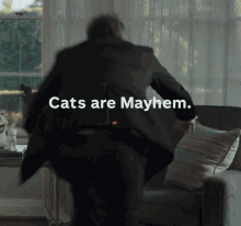 Cats Are Mayhem Furious GIF - Cats Are Mayhem Furious Mad GIFs