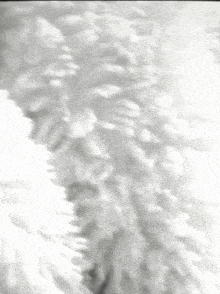 a black and white photo of clouds in the sky