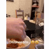 Distance Bite GIF - Distance Bite Cat GIFs