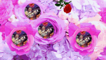 Lord Shiva Flowers GIF - Lord Shiva Flowers Spinning GIFs