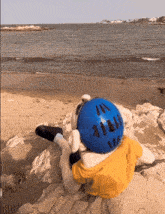a stuffed animal with a blue helmet that says ' i 'm ' on it