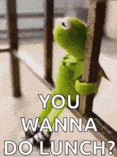 kermit the frog is sitting on a railing holding onto a railing and asking if you wanna do lunch .