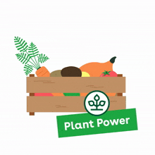 food power health plant box
