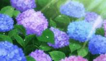 Anime Flower GIF - Anime Flower Aesthetic GIFs