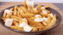 poutine canadian fries food cheese
