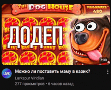 a video game called the dog house has a dog on it