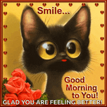 cat smile morning good morning