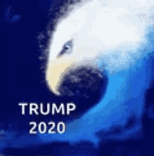Trump 2020 GIF - Trump 2020 Eagles GIFs