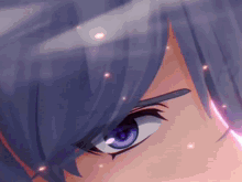 a close up of a person 's eye with a purple eye and a purple hair .