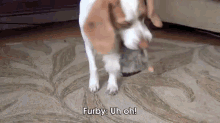 Dog Vs. Furby GIF - Dog Furby Shake GIFs
