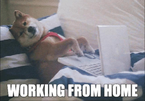 How to Make Money Online for Beginners