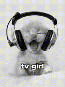 Tv Girl Tv Girl Cat GIF - Tv Girl Tv Girl Cat Tv Girls Cats GIFs