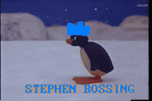 a penguin wearing a blue hat with the name stephen bossing on the bottom