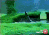 a green background with a gif maker button