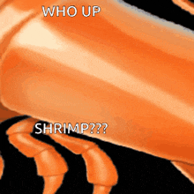 Shrimp Who Up Shrimp GIF - Shrimp Who Up Shrimp Who Up GIFs