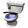 a toilet with a horseshoe on it and a blue bowl .